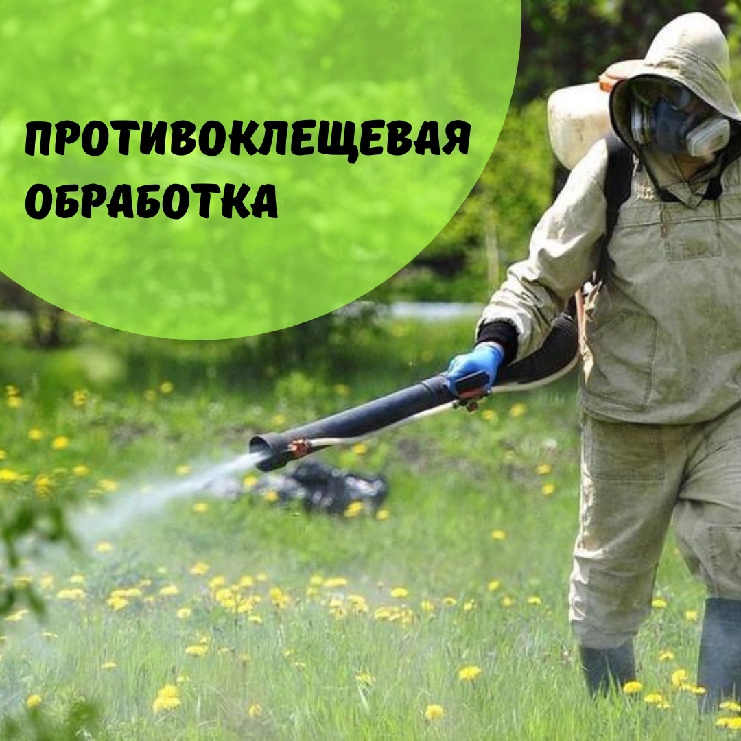 14 мая 2025 г. с 11:00 часов утра планируется провидение акарицидной обработки территории от клещей.