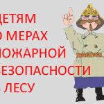 Детям. Как не стать виновником пожара в лесу и что делать, если увидел возгорание?.